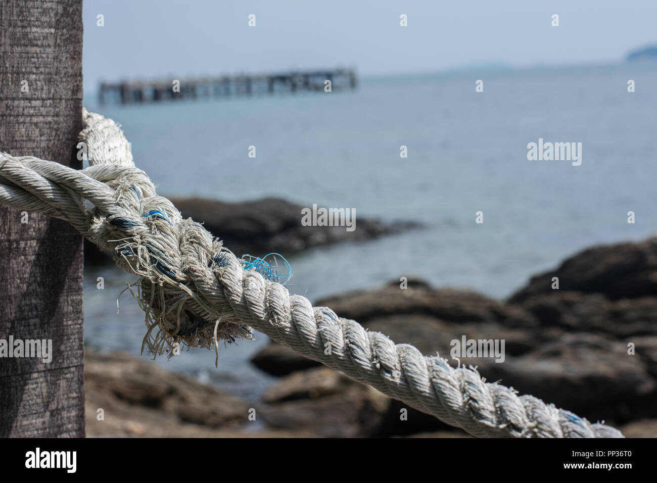Rope attached to wood Stock Photo Alamy