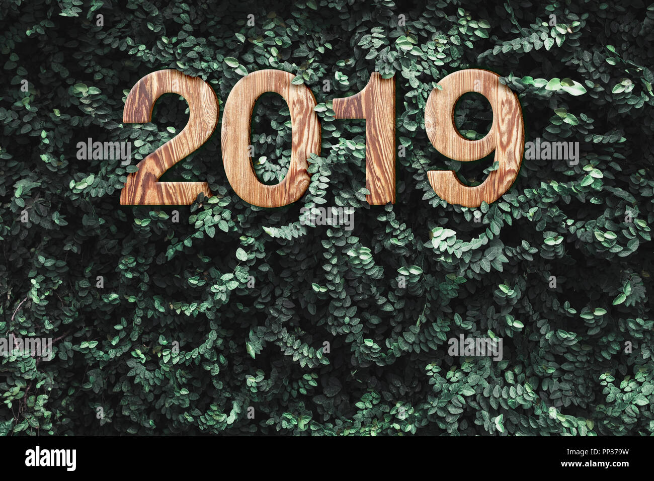 2019 Happy New Year Wood Texture Number On Green Leaves Wall