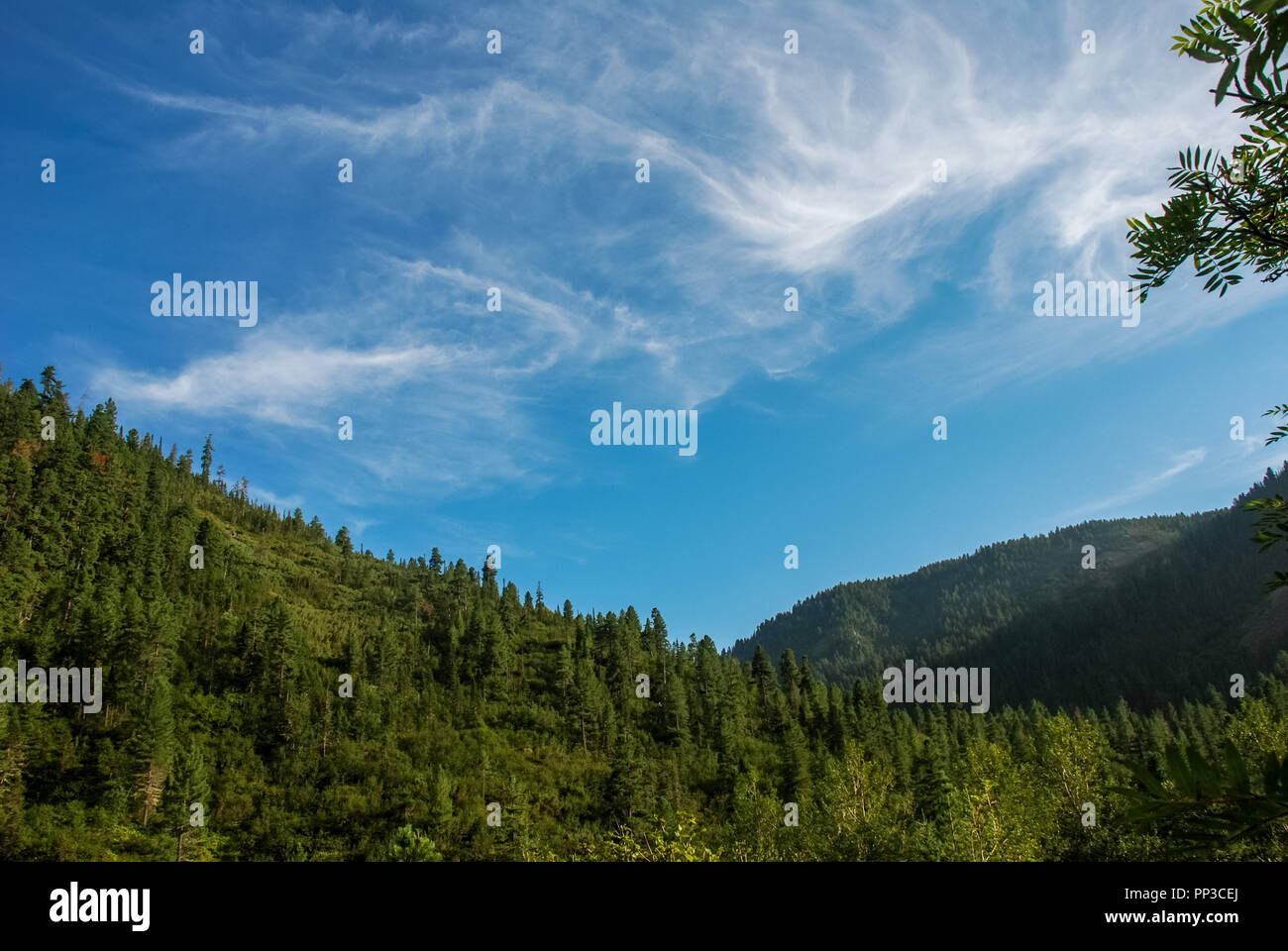 A beautiful sunny valley in the mountains in summer Stock Photo
