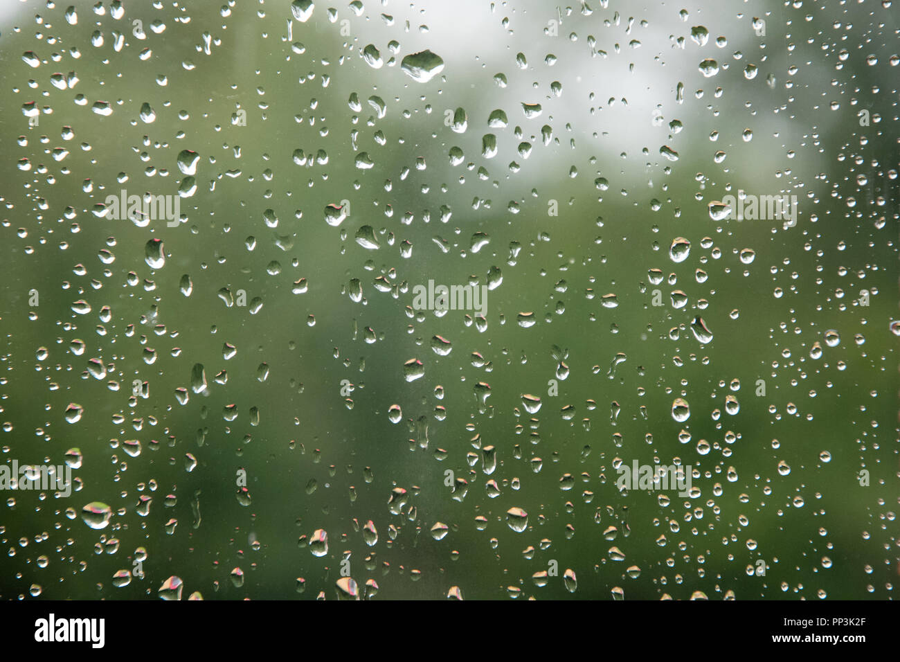 Raindrops on window with green blurred background. Stock Photo