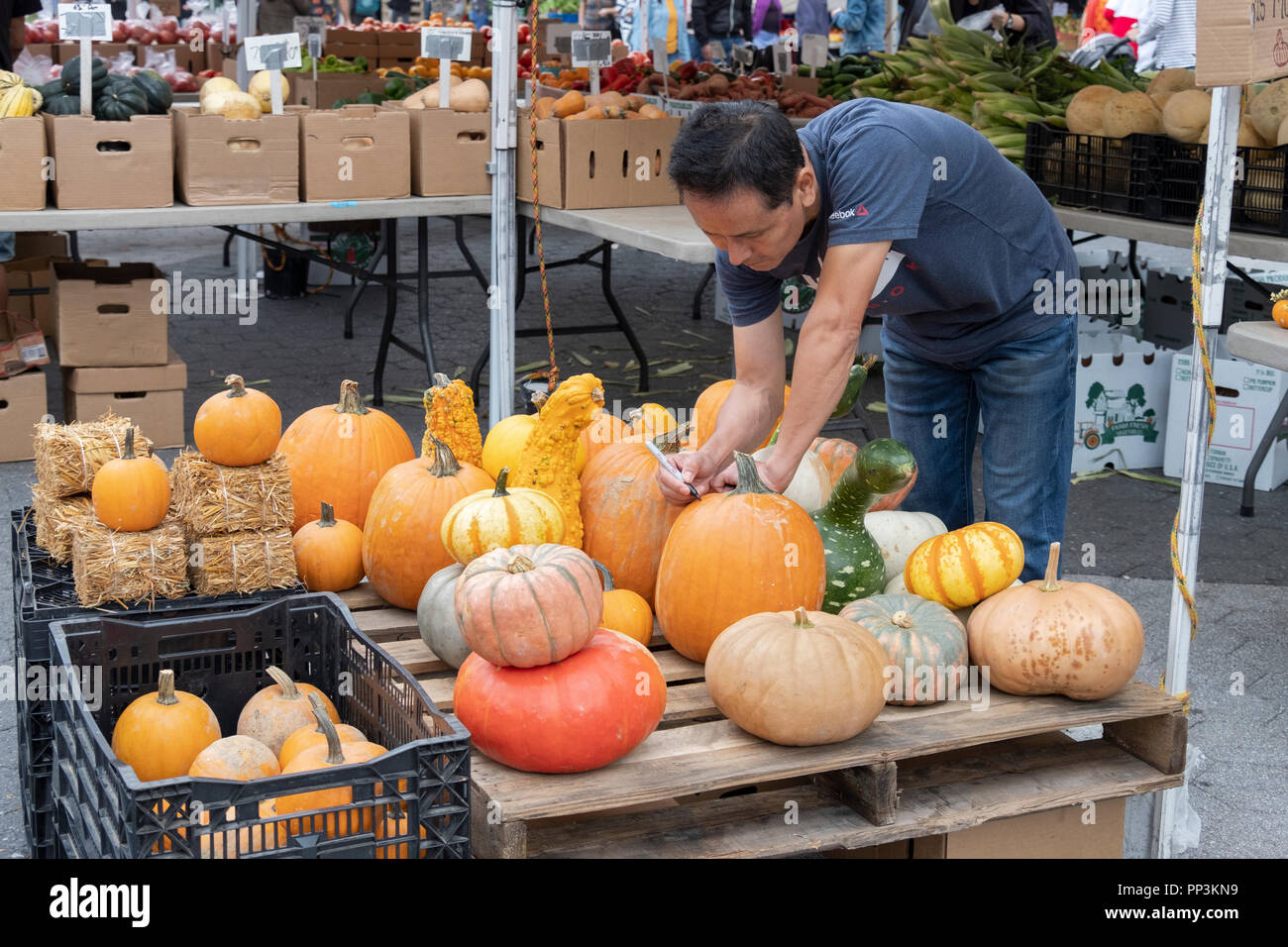 In early Fall, a vendor at the Union Square Green Market marks prices on pumpkins and gourds. New York City. Stock Photo