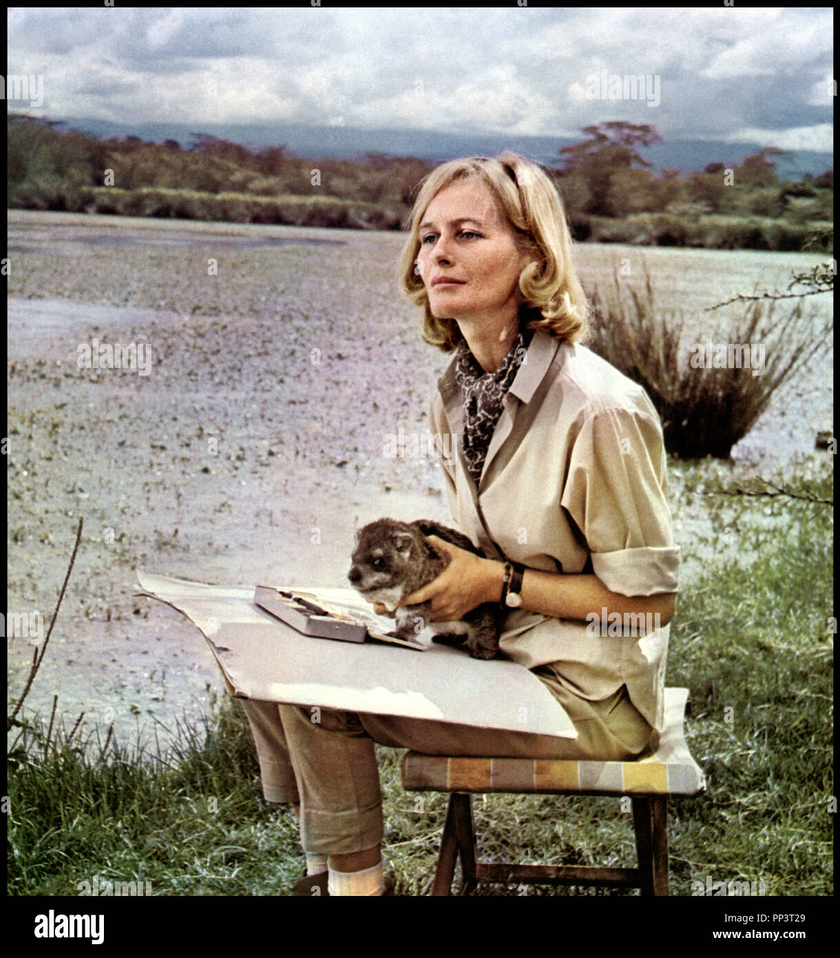 Virginia McKenna (born 1931) picture pics Virginia McKenna (born 1931)