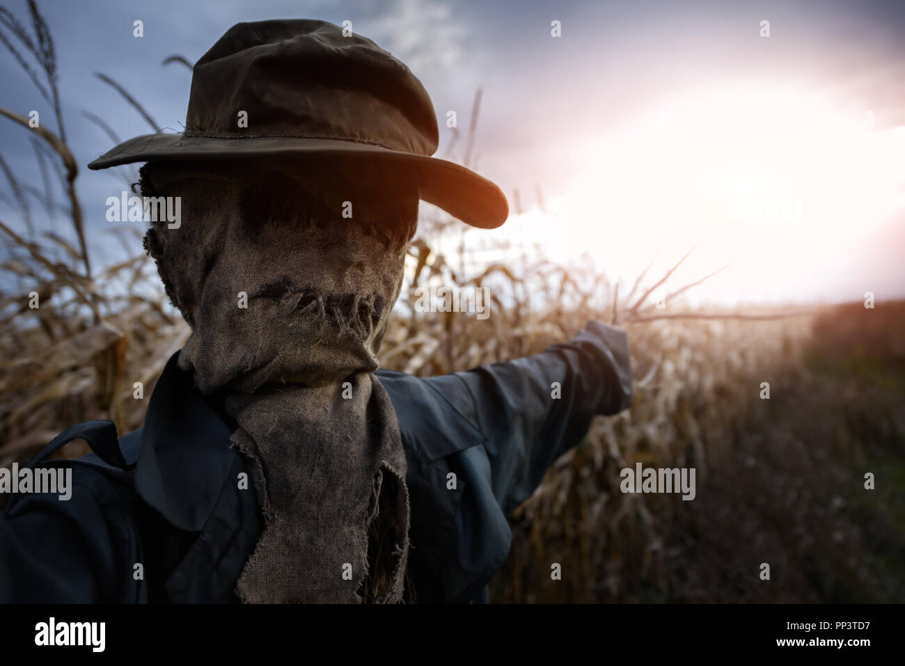 Scarecrow On A Field High Resolution Stock Photography and Images - Alamy
