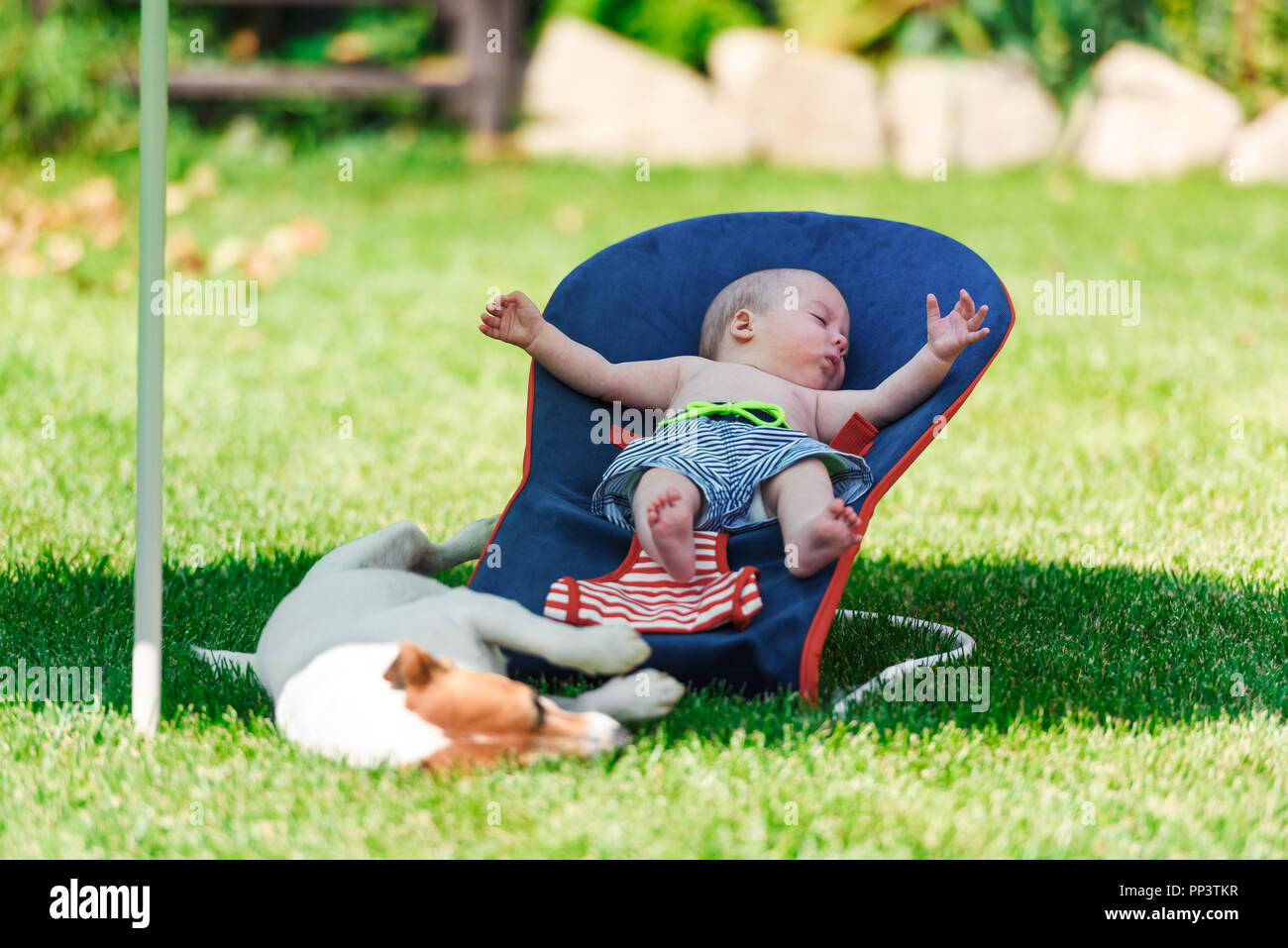 Baby boy lies on a deck-chair with dog on green lawn. Relax and vacation concept Stock Photo