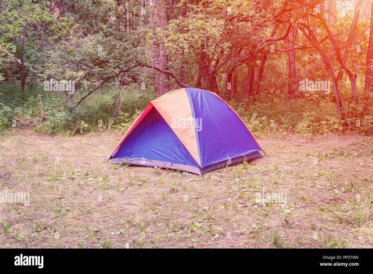 Tourist tent on the background of the forest Stock Photo - Alamy