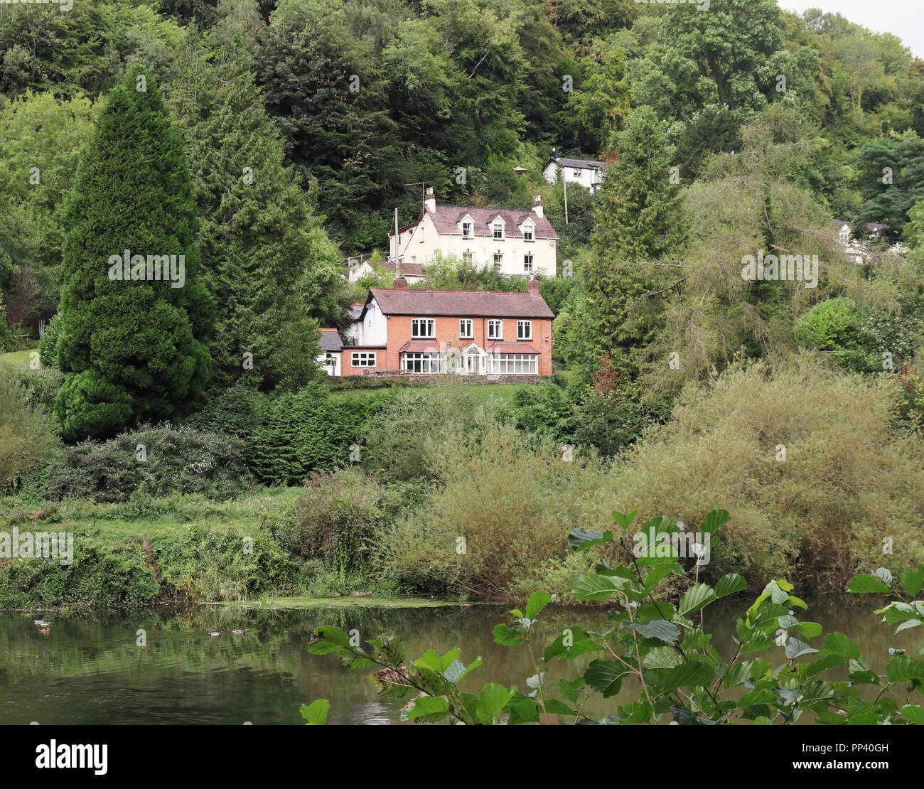Symonds yat east hires stock photography and images Alamy