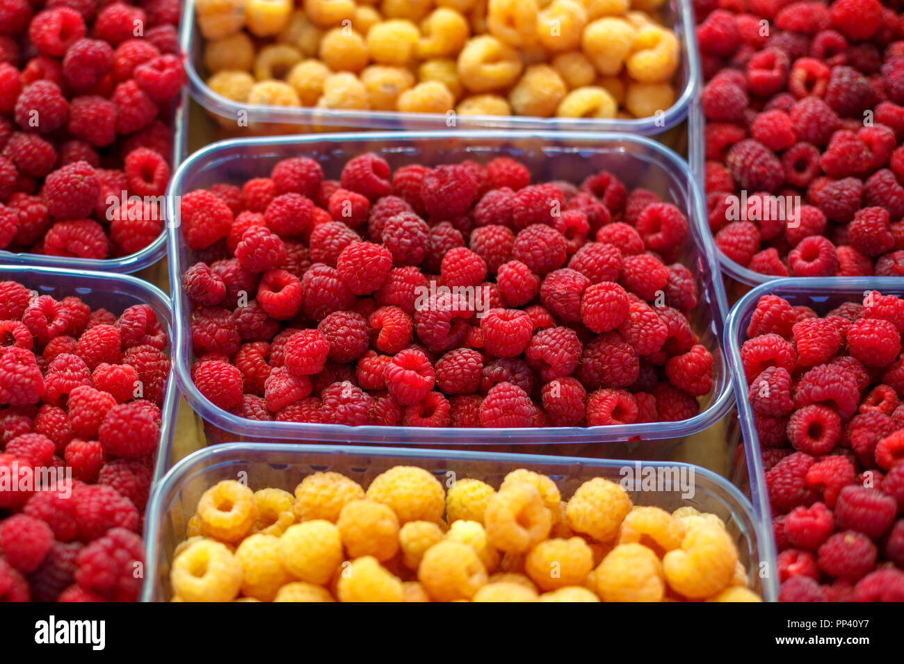 Red Andyellow Raspberry red and yellow raspberries in boxes, healthy food concept Stock Photo ...