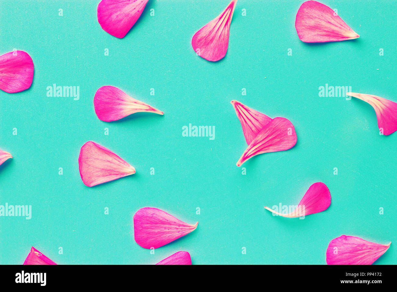 Background of artificial pink rose petals Stock Photo Alamy