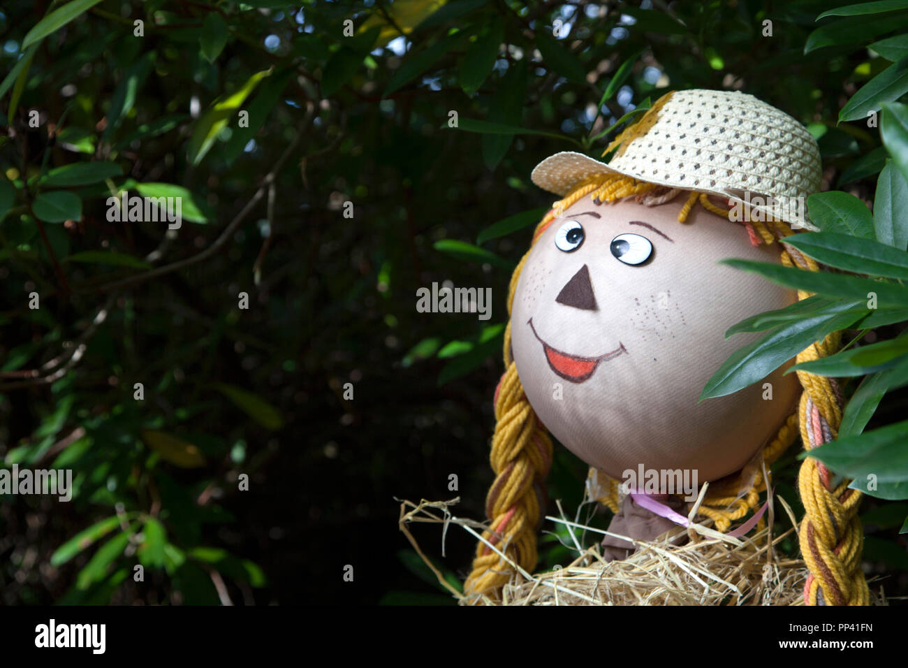 Head of a scarecrow girl with wool pigtails and straw hat.Set within woodland. Stock Photo