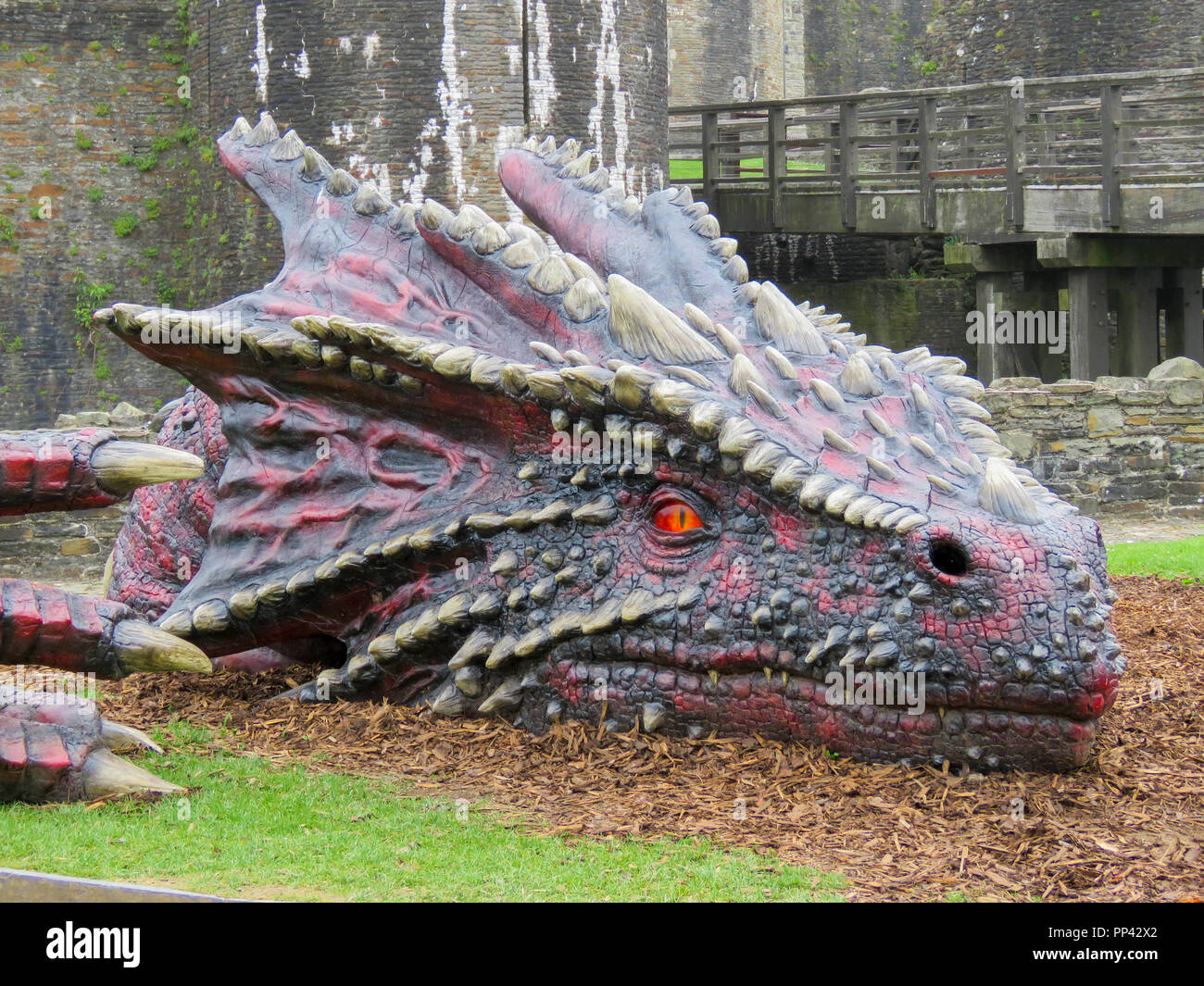 Very large realistic dragon in the grounds of Caerphilly Castle, South ...