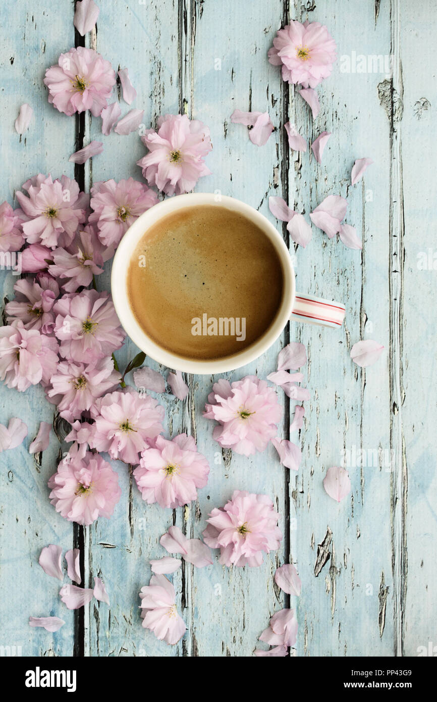 Coffee and pink cherry blossoms on a rustic wooden background Stock Photo