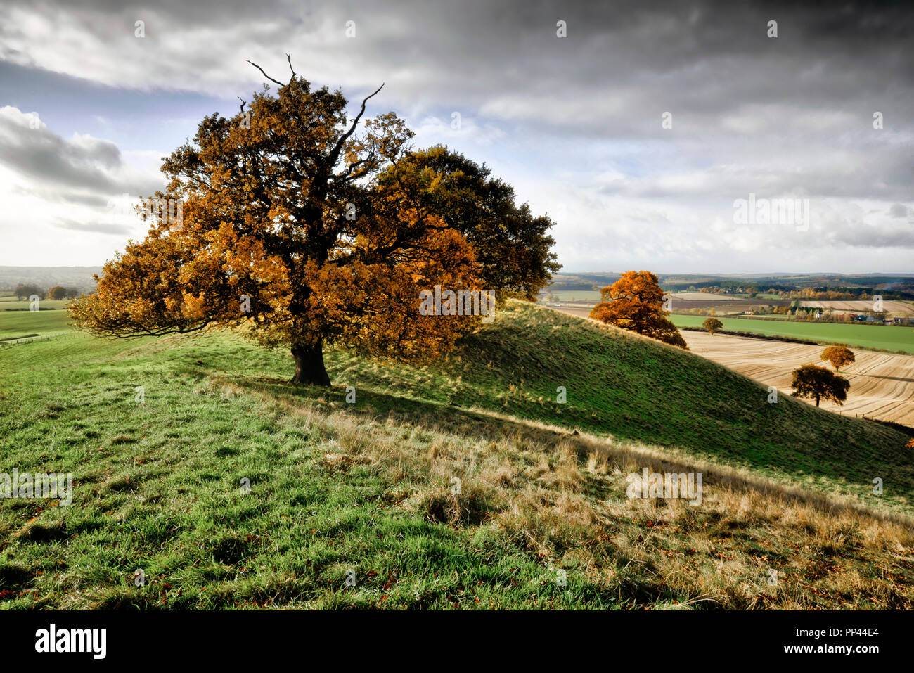 Autumn trees on Loath Hill, Oxton, Nottinghamshire, England. Stock Photo