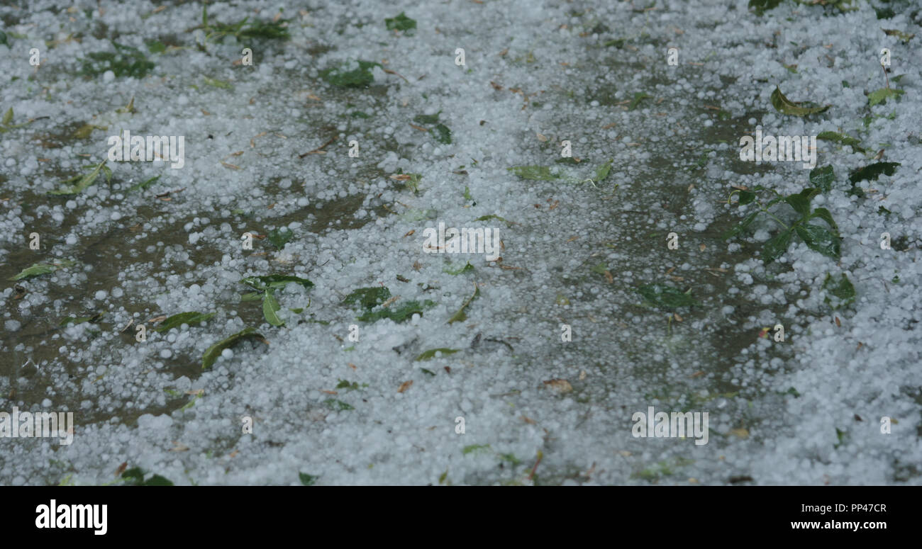 Heavy rain falling on leaves hi-res stock photography and images - Alamy