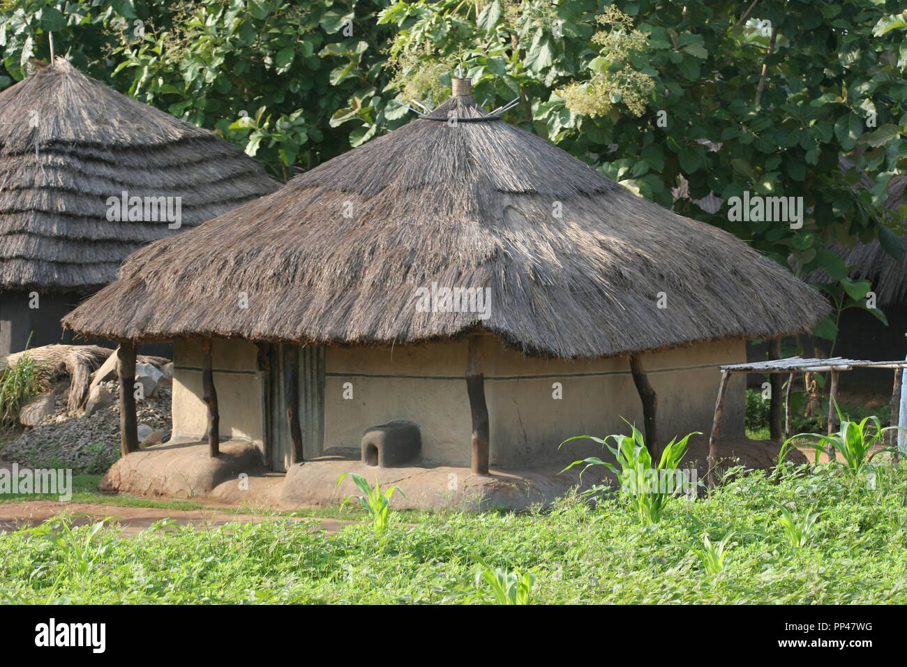 A homestead in Adjumani, in the West Nile region of Uganda. Stock Photo