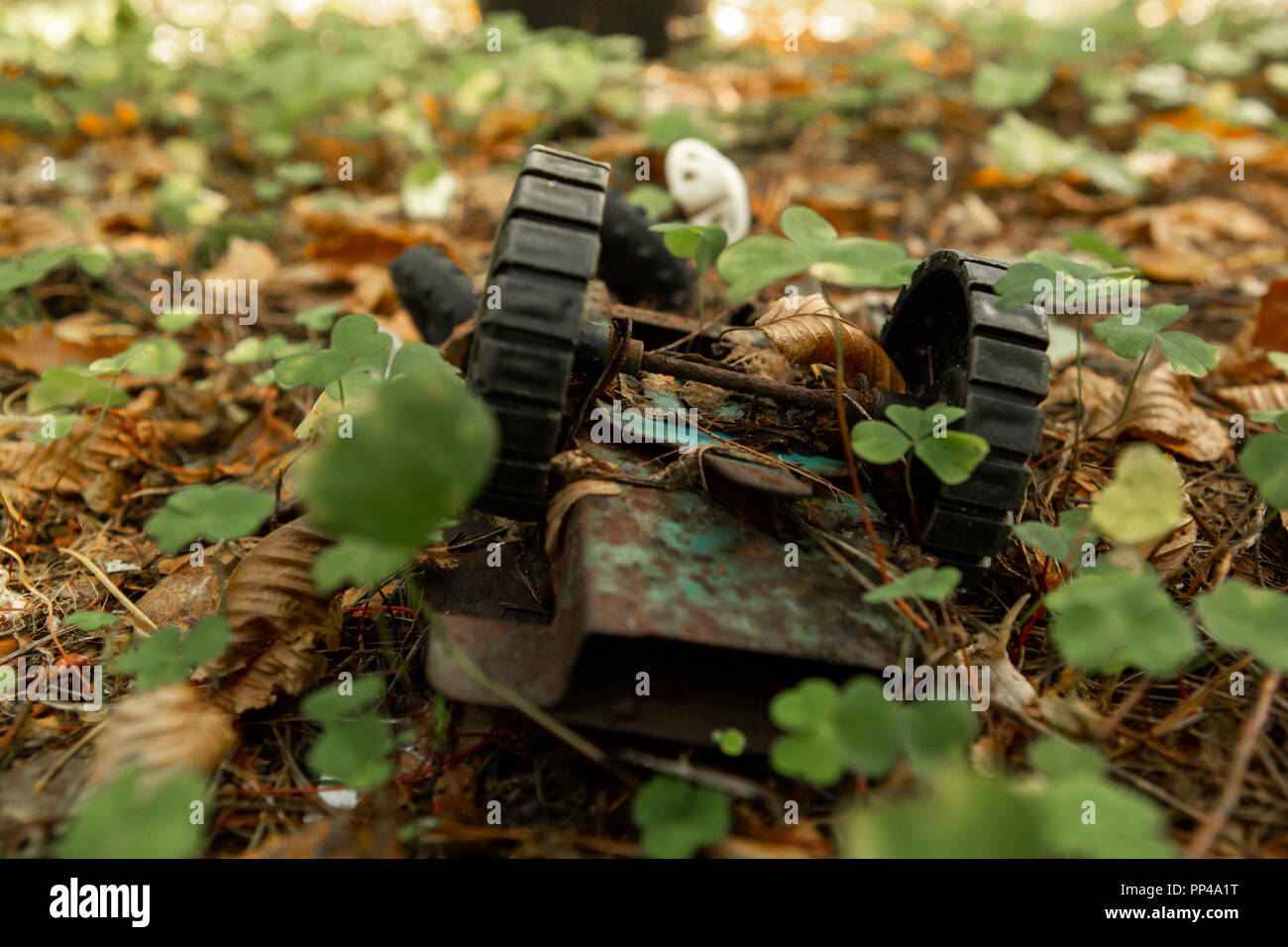 An old, abandoned toy left in the forest. Rusty, children's typewriter in the autumn foliage. Sunlight. A rough plan. Stock Photo