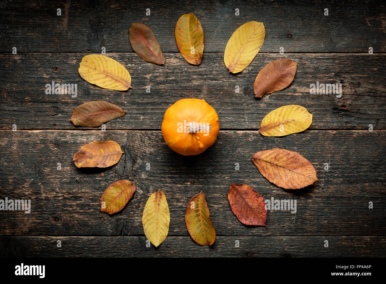 Autumn background. Happy Thanksgiving. Pumpkin and fallen leaves on dark wooden background. Stock Photo