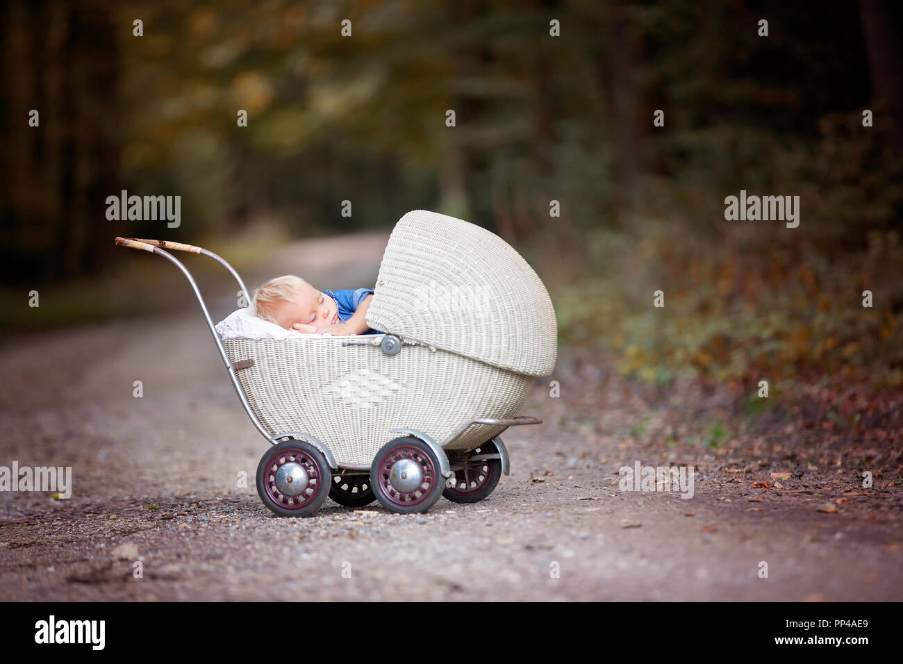 Little newborn baby boy, sleeping in old retro stroller in forest, autumn time. Posed baby in retro pram, baby sleeping, vintage stroller Stock Photo