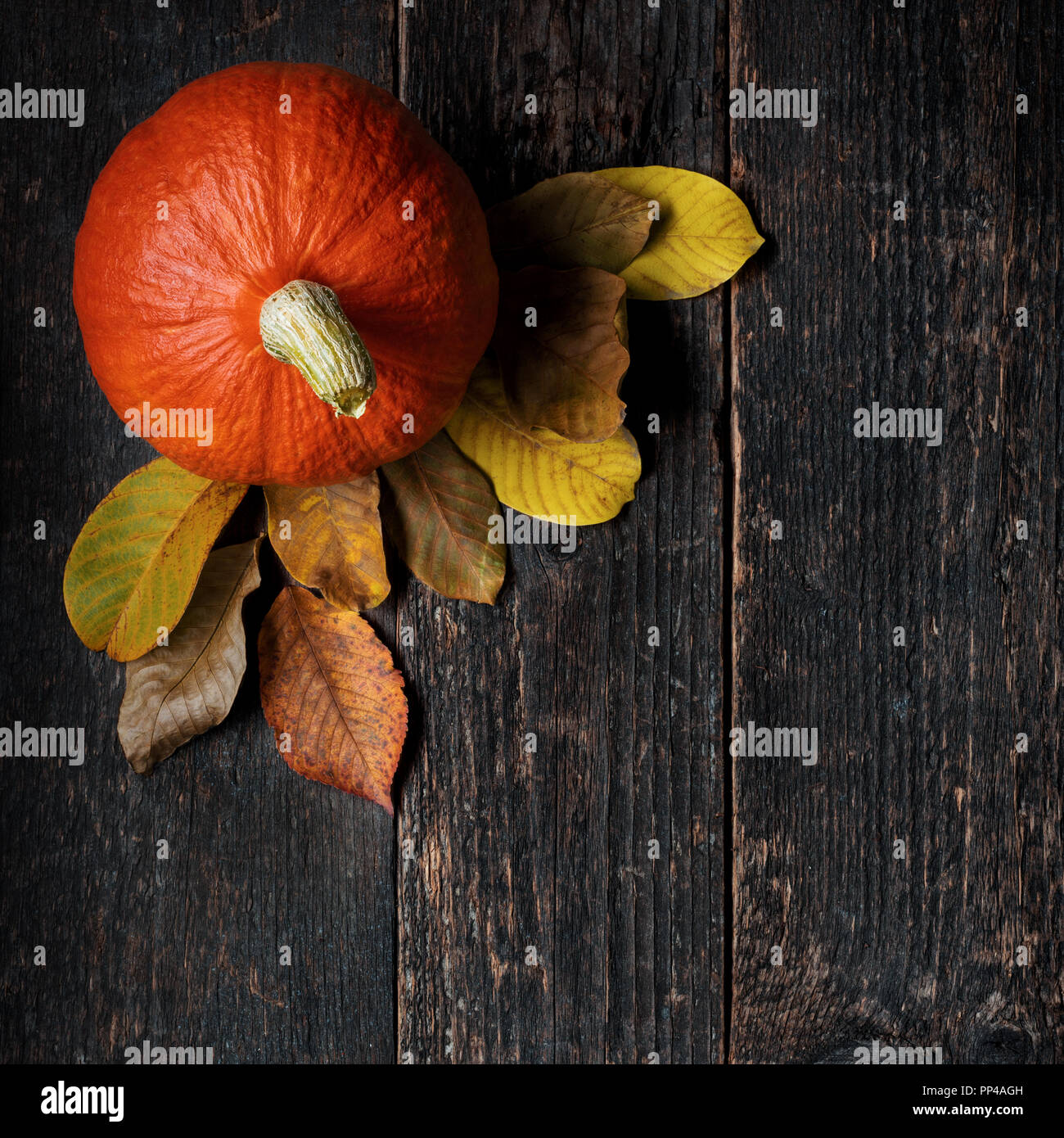 Autumn Harvest and Holiday still life. Happy Thanksgiving Background. Pumpkin and fallen leaves on dark wooden background. Autumn vegetables and seaso Stock Photo