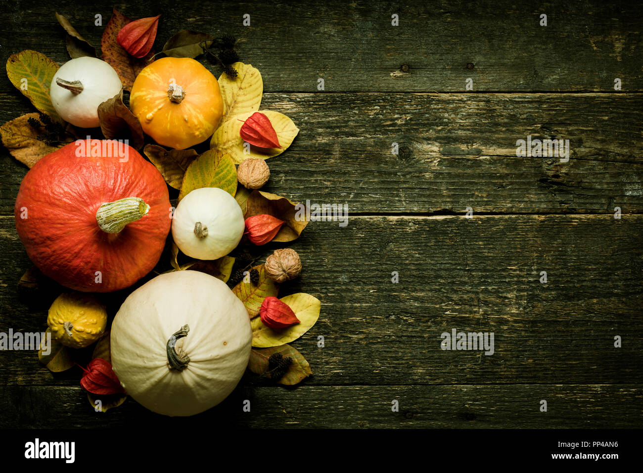 Autumn Harvest and Holiday still life. Happy Thanksgiving Background. Selection of various pumpkins on dark wooden background. Autumn vegetables and s Stock Photo