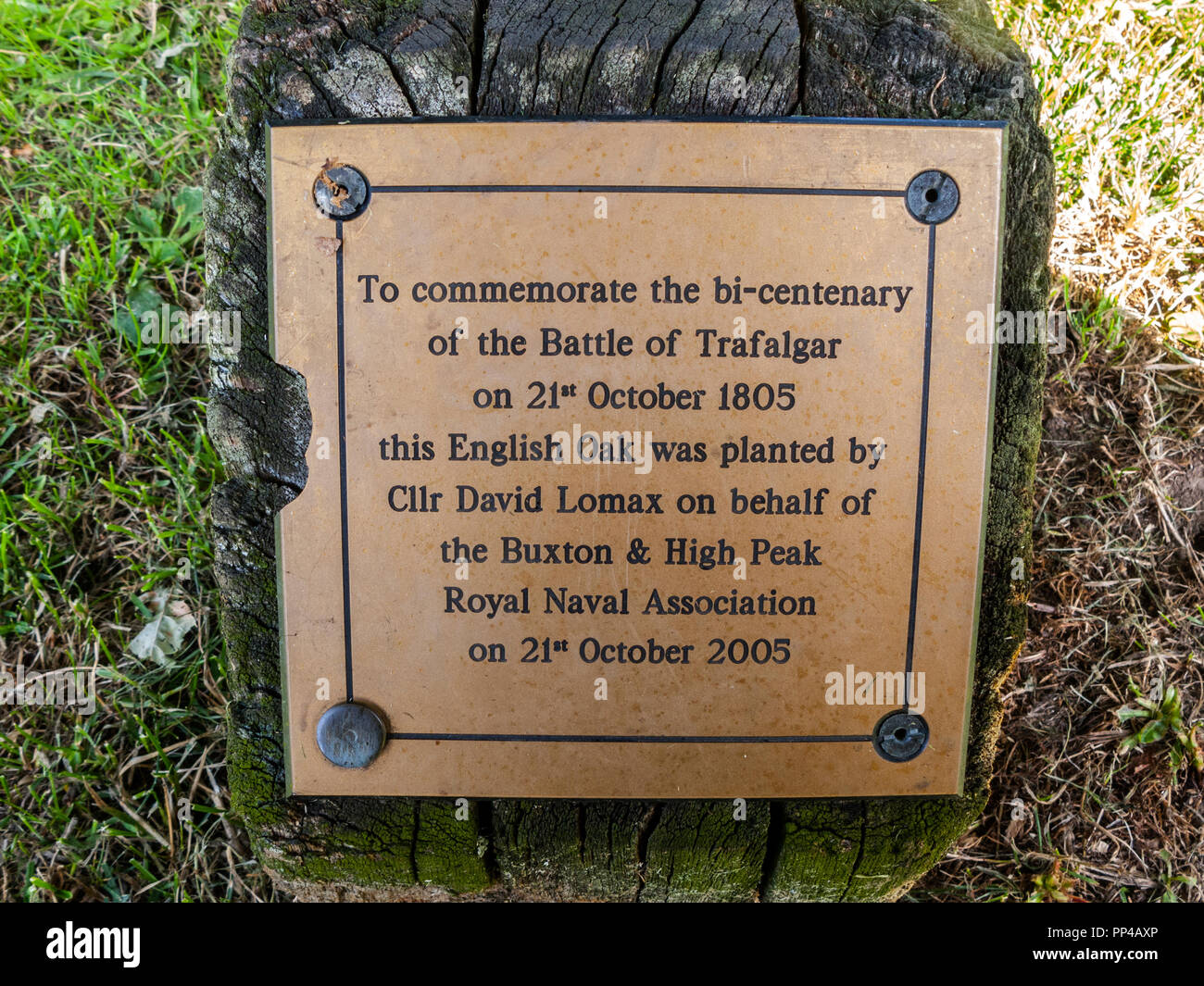 Battle of Trafalgar Bi-centenary Plaque on oak tree, Buxton, Derbyshire Stock Photo