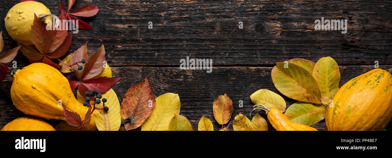 Happy Thanksgiving Banner. Selection of various pumpkins on dark wooden background. Autumn vegetables and seasonal decorations concept. Beautiful Autu Stock Photo