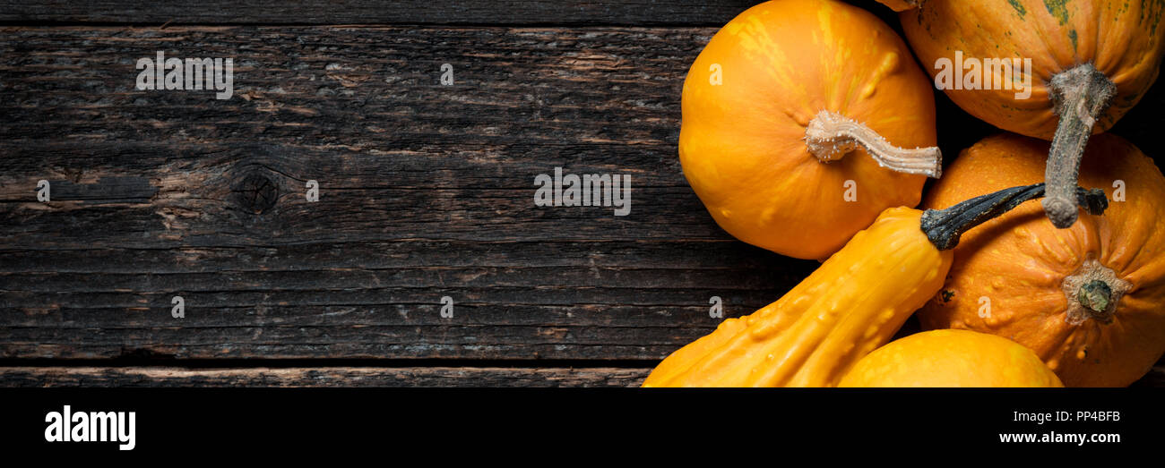 Happy Thanksgiving Banner. Selection of various pumpkins on dark wooden background. Autumn vegetables and seasonal decorations. Autumn Harvest and Hol Stock Photo