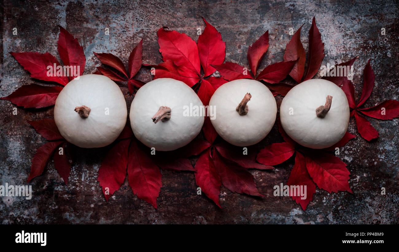 Happy Thanksgiving. Pumpkins and fallen leaves on dark retro background ...