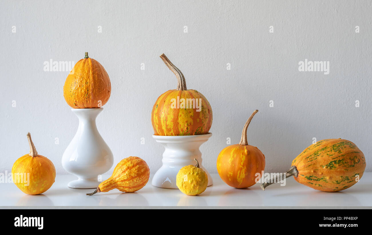 Thanksgiving decoration. Minimal autumn inspired room decoration. Selection of various pumpkins on white shelf against white wall. Stock Photo