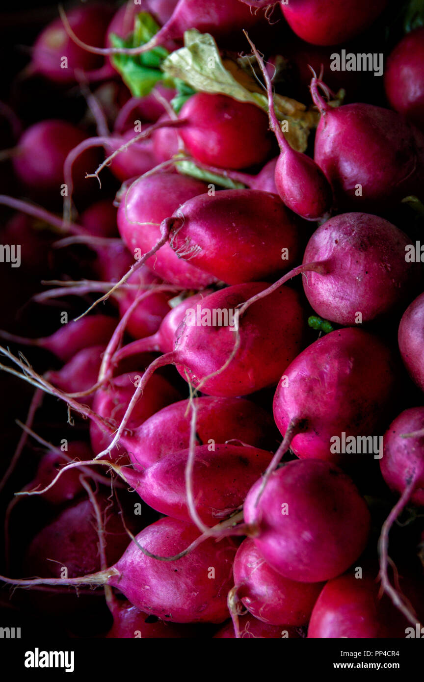 Immokalee hires stock photography and images Alamy