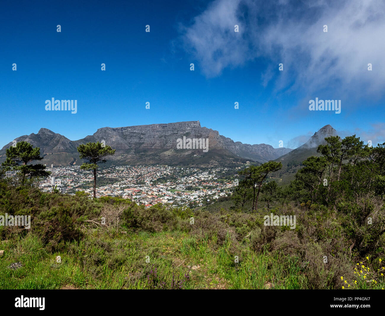Table Mountain, Devil's Peak (left) and Lion's Head, Cape Town, South Africa, as seen from Signal Hill Stock Photo