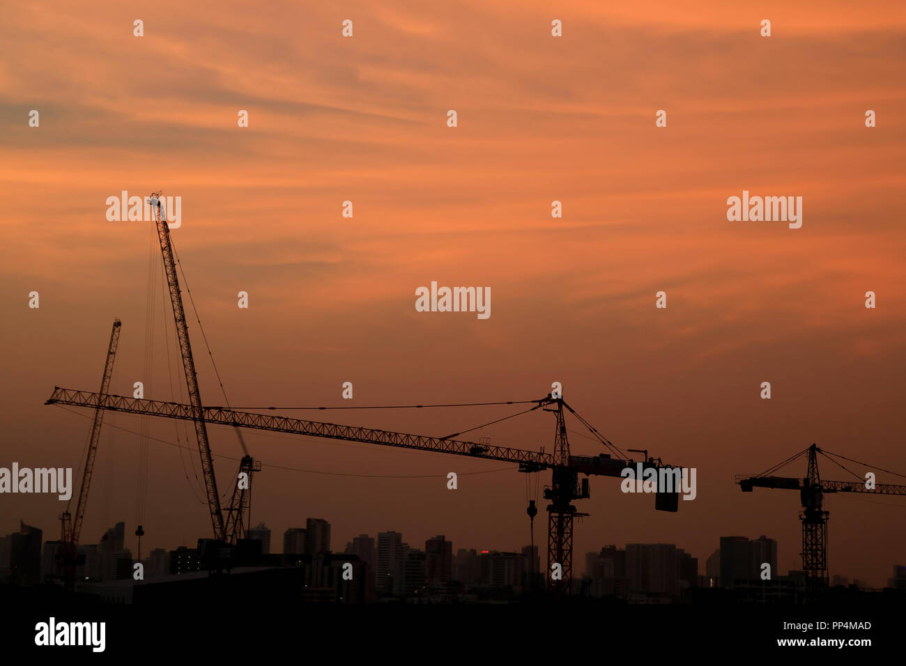 Many construction cranes still working under the impressive evening sky Stock Photo