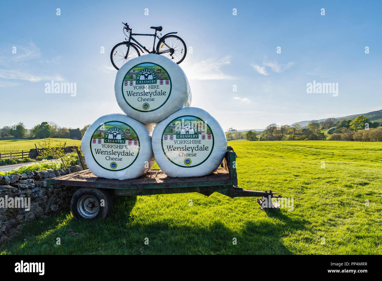 Eye-catching roadside advert - bike on top of 3 hay bales, stacked on farm trailer & wrapped to resemble Wensleydale cheese - North Yorkshire,   UK Stock Photo