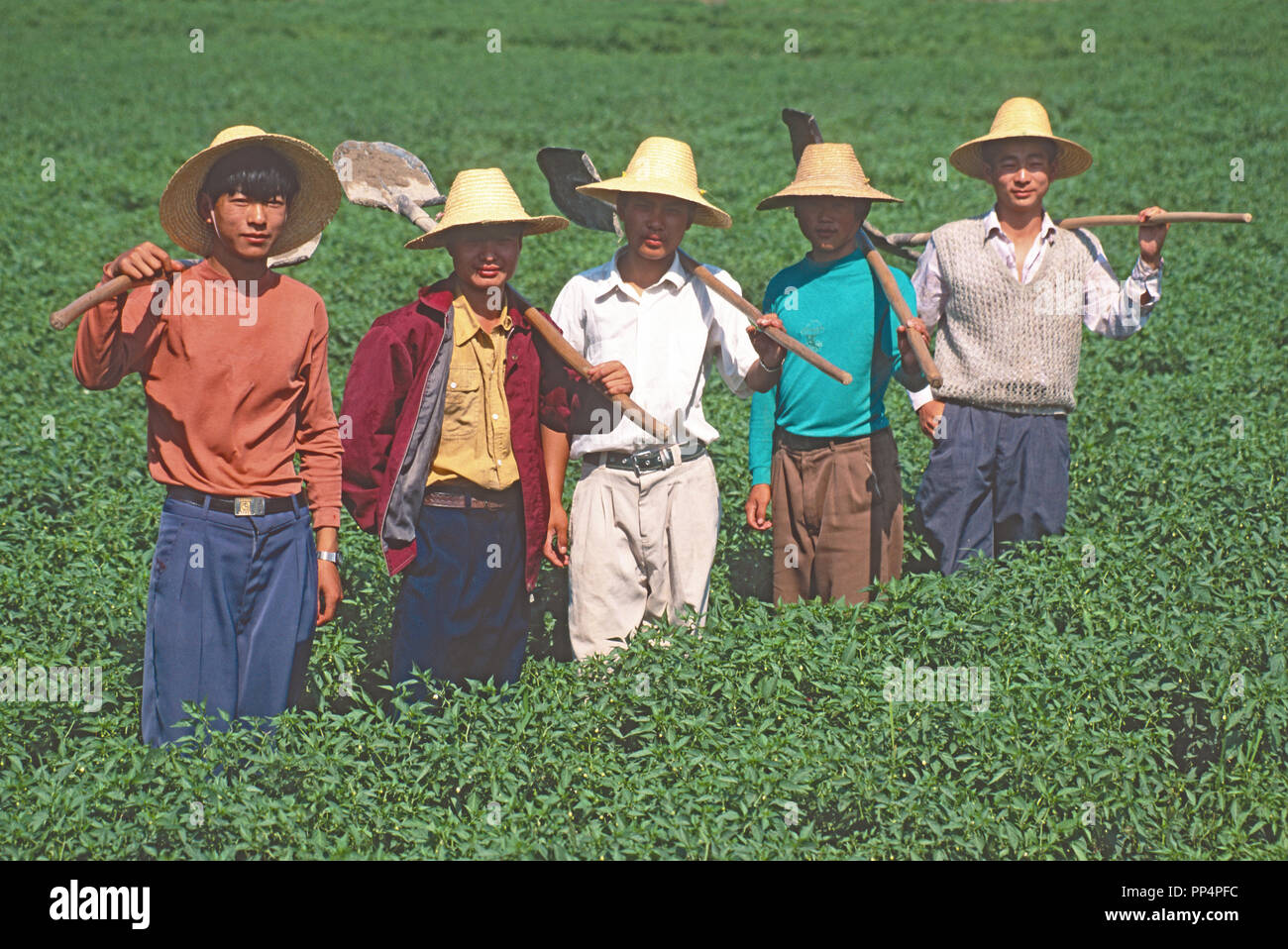 chinese field hat