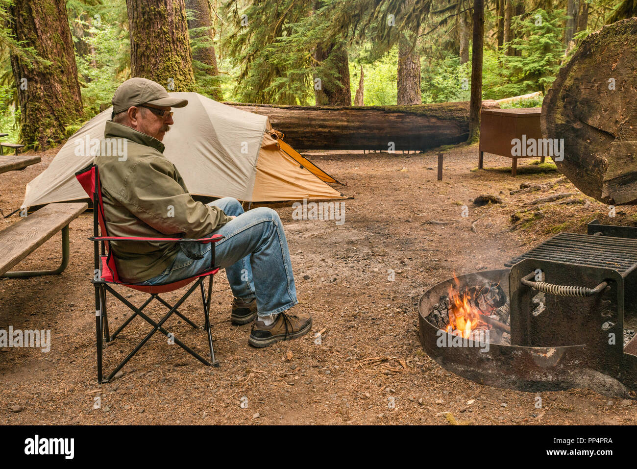 Senior adult relaxing at campfire in rainforest, Sol Duc Campground, Olympic National Park, Washington state, USA Stock Photo