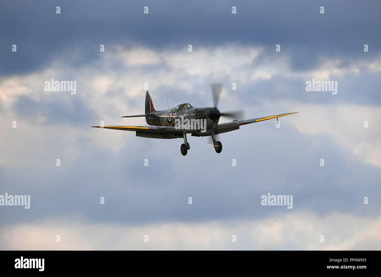 A Supermarine Spitfire comes in to land during the Battle of Britain Air Show at the Imperial War Museum in Duxford, Cambridgeshire. Stock Photo