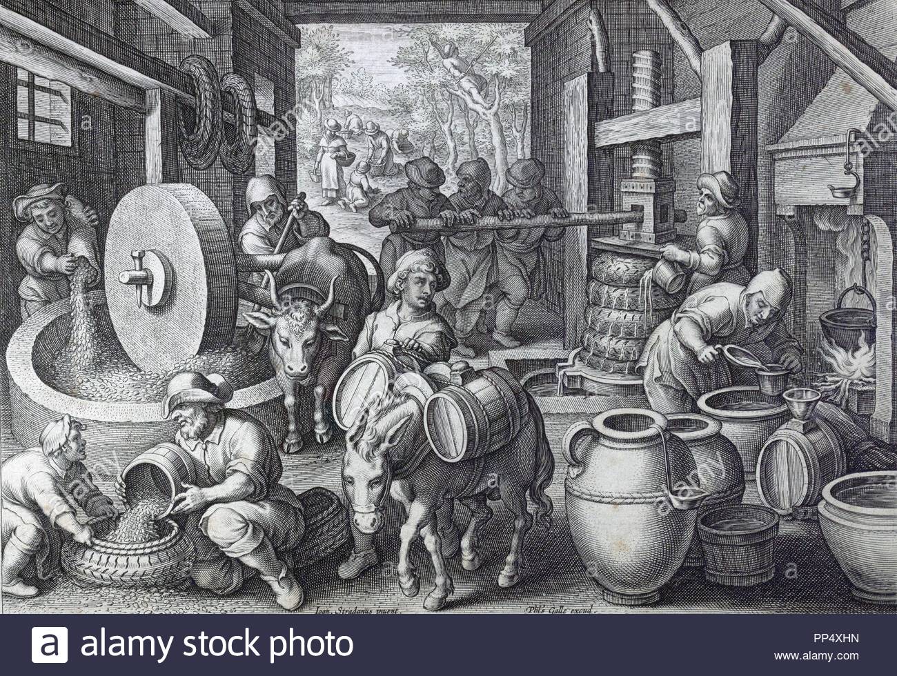 Oleum olivarum, the invention of the olive oil press, engraving circa 1591, by Stradanus or Stratesis, 1523-1605 a Flemish artist working in 16th century ...