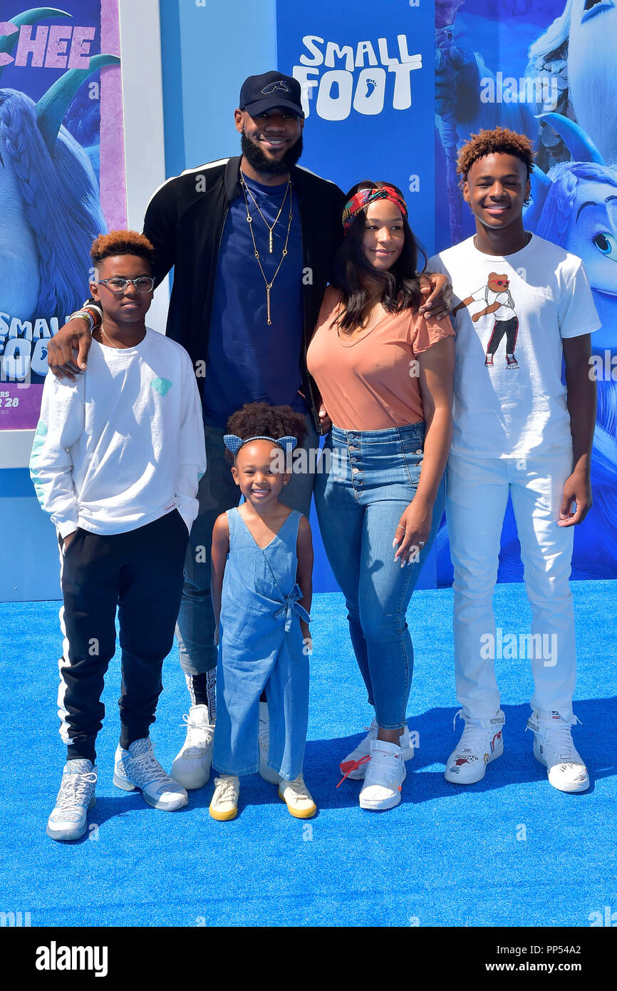 Lebron james family