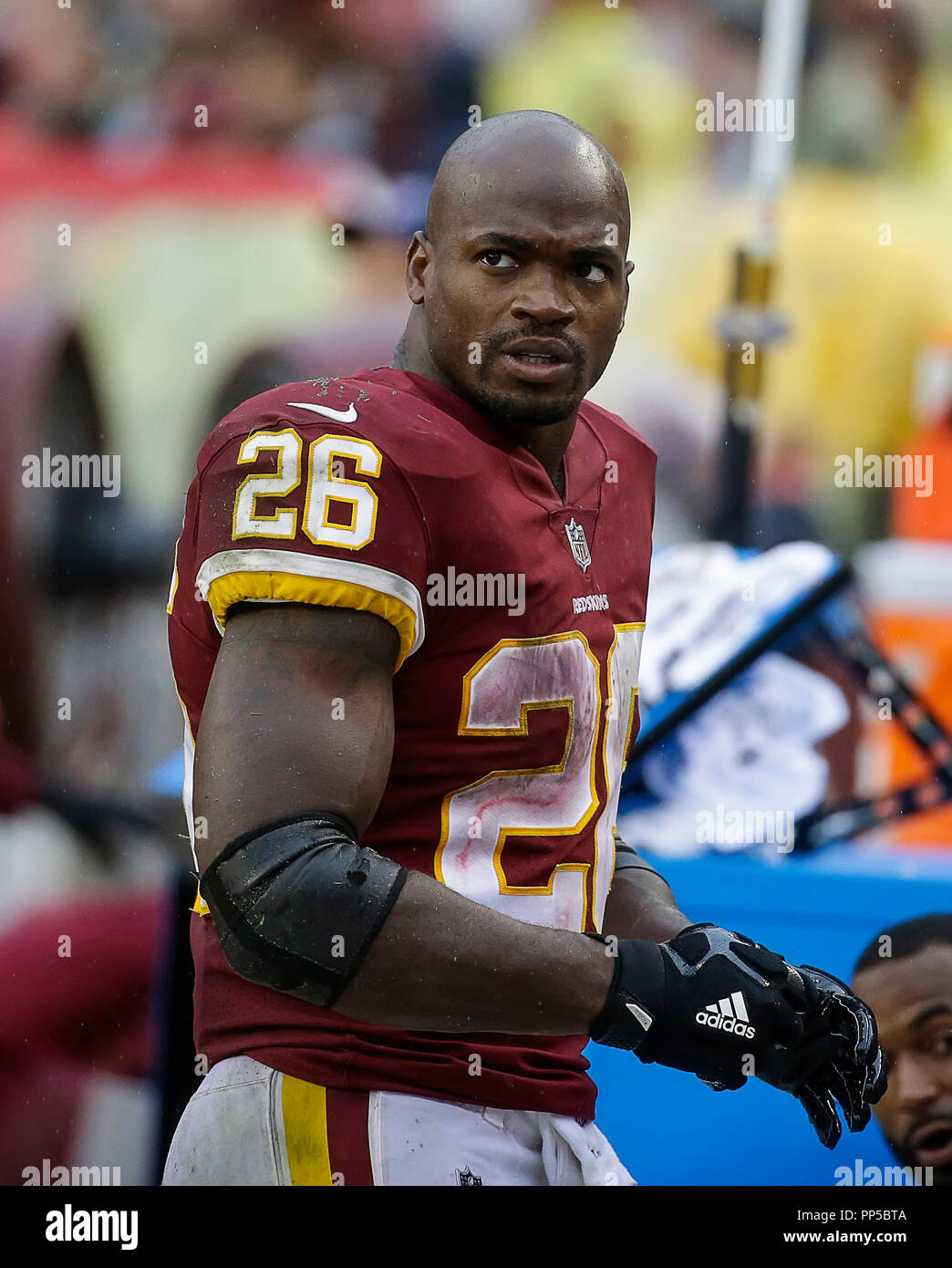 Adrian peterson hi-res stock photography and images - Alamy