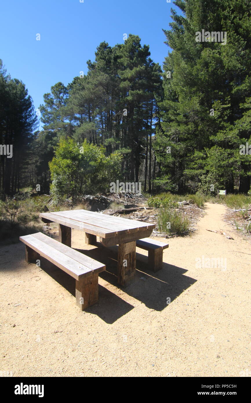 Picnic table at Bendora Arboretum, ACT, Australia Stock Photo Alamy