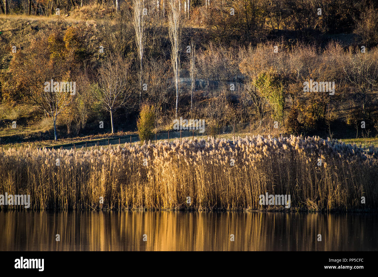 Italy, Lazio, Subiaco, path to the lake and waterfalls of San Benedetto  Stock Photo - Alamy