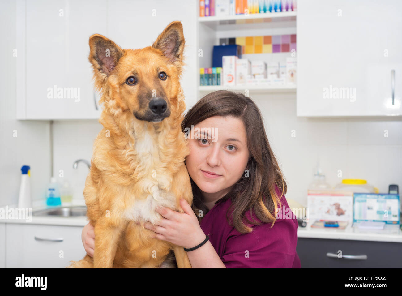 Doctor at the veterinary clinic hugging a beautiful dog Stock Photo