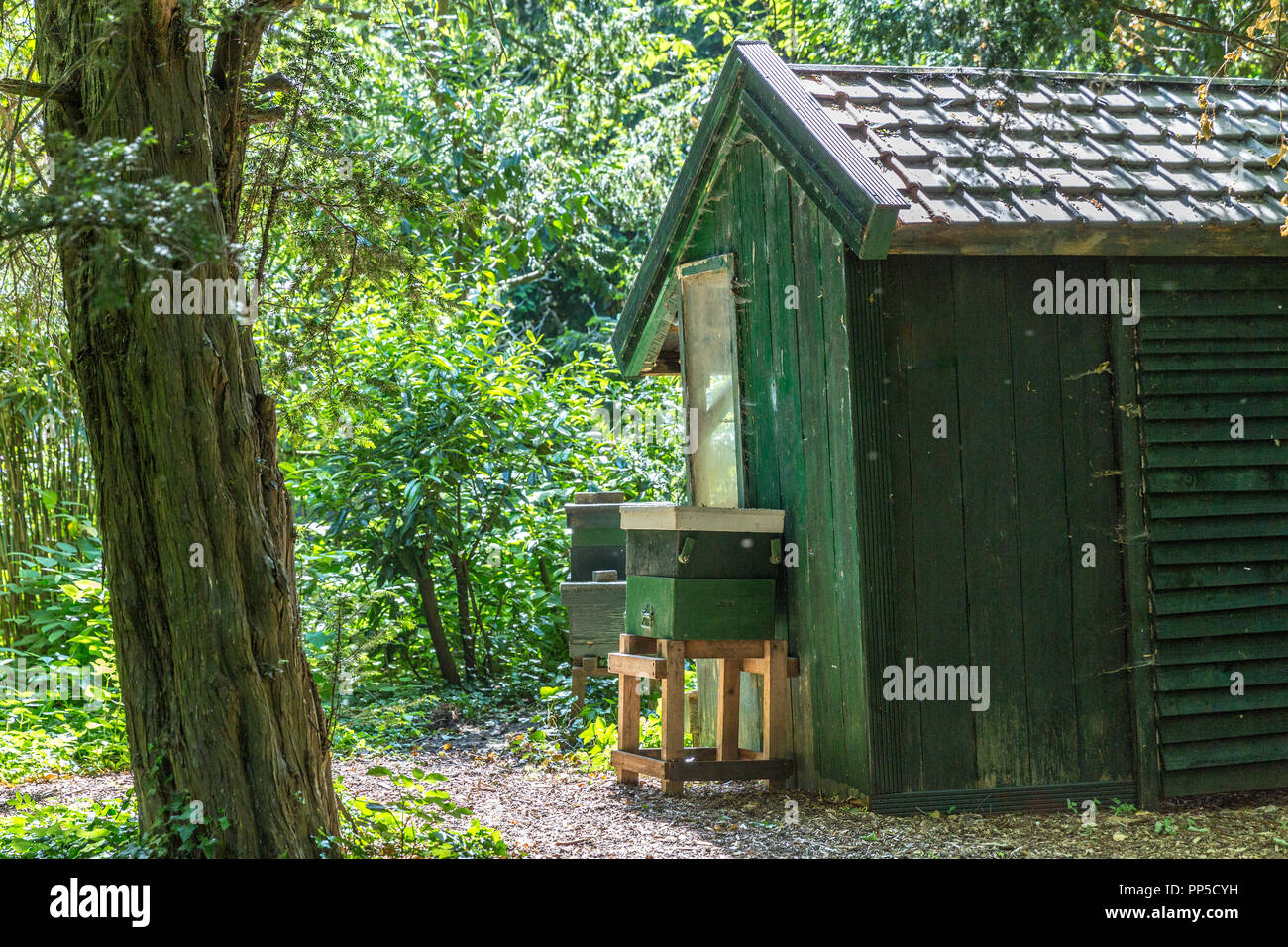small wooden house in the middle of at Schoonoord park in Rotterdam in the Netherlands Stock Photo
