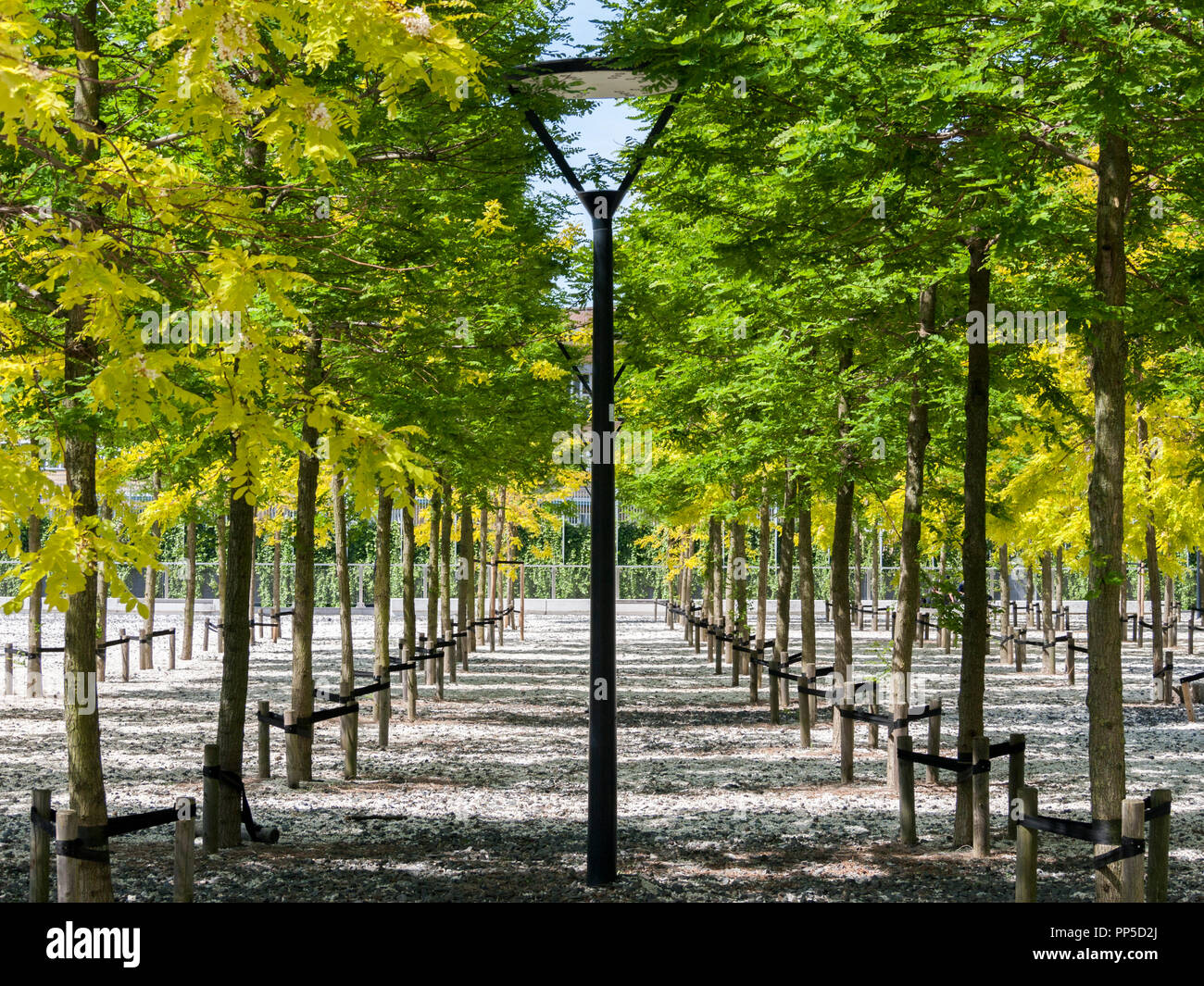 Square post leaves hi-res stock photography and images - Alamy