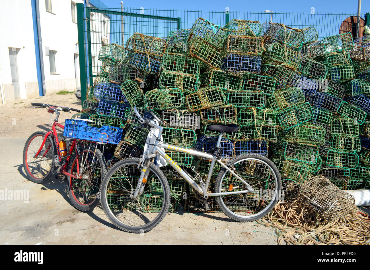 Fishing gear: artisanal cuttlefish (Sepia officinalis) creels stocked ...