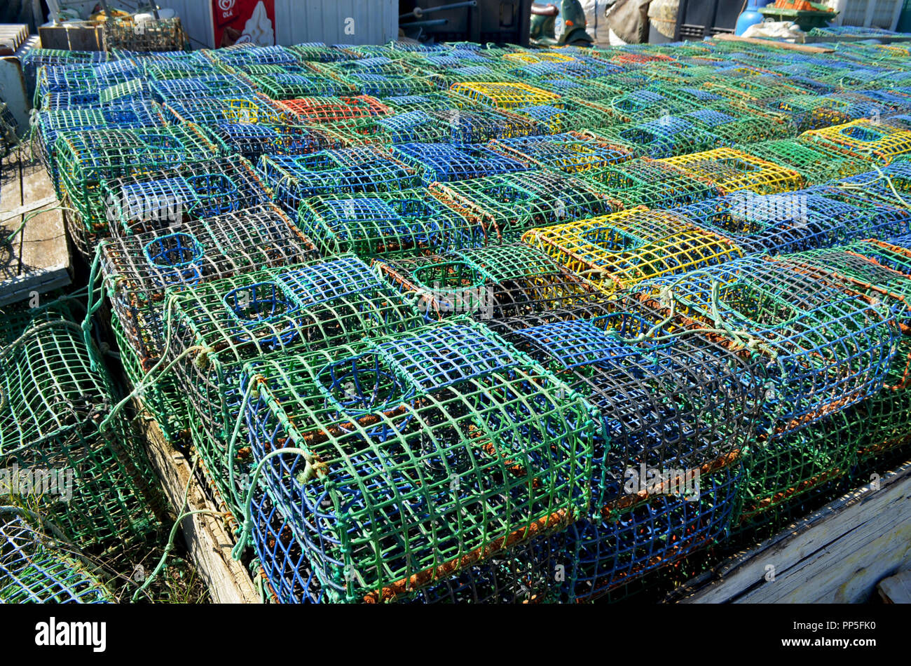 Fishing gear: artisanal cuttlefish (Sepia officinalis) creels stocked ...