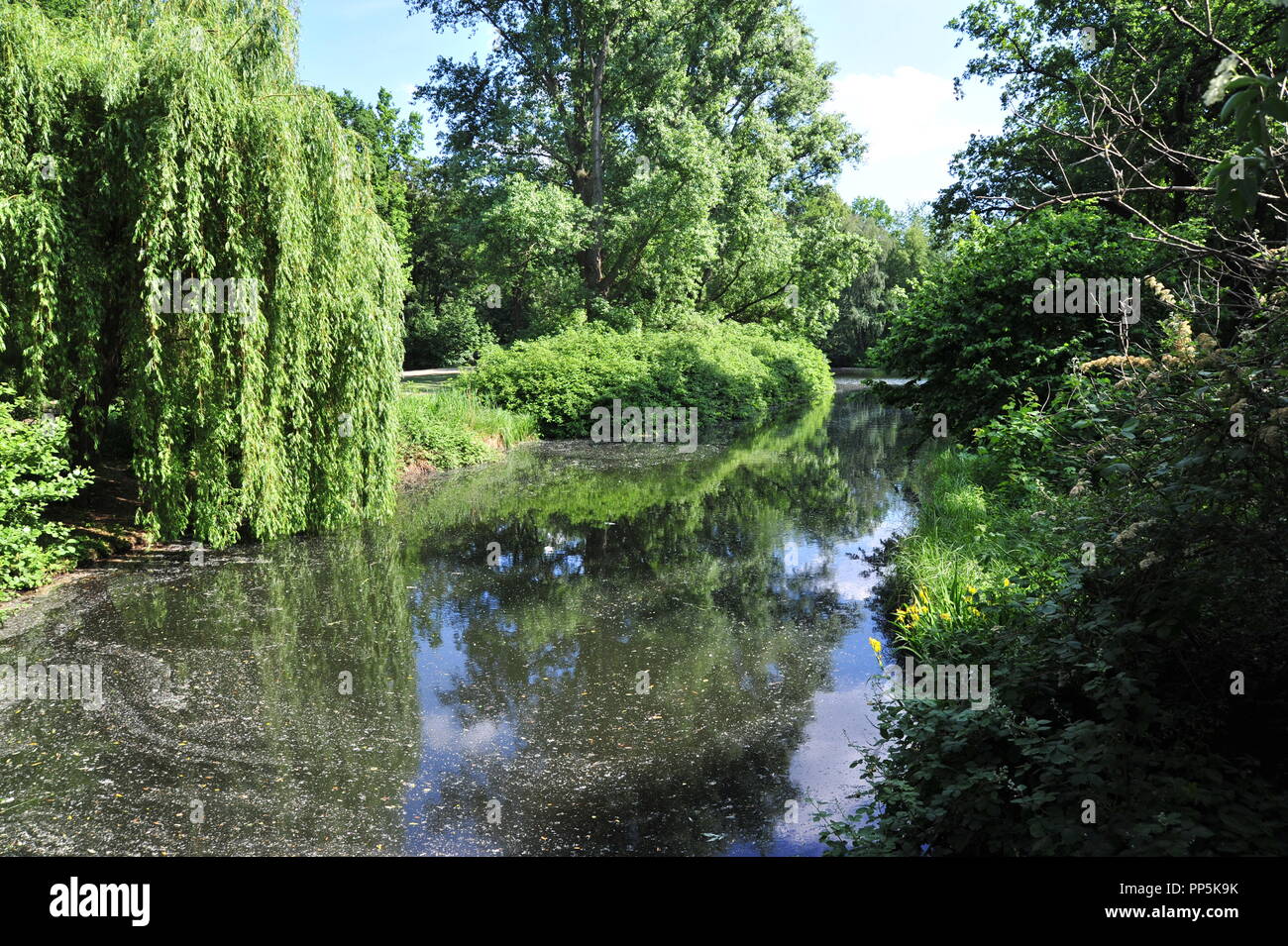 Natur berlin hi-res stock photography and images - Alamy