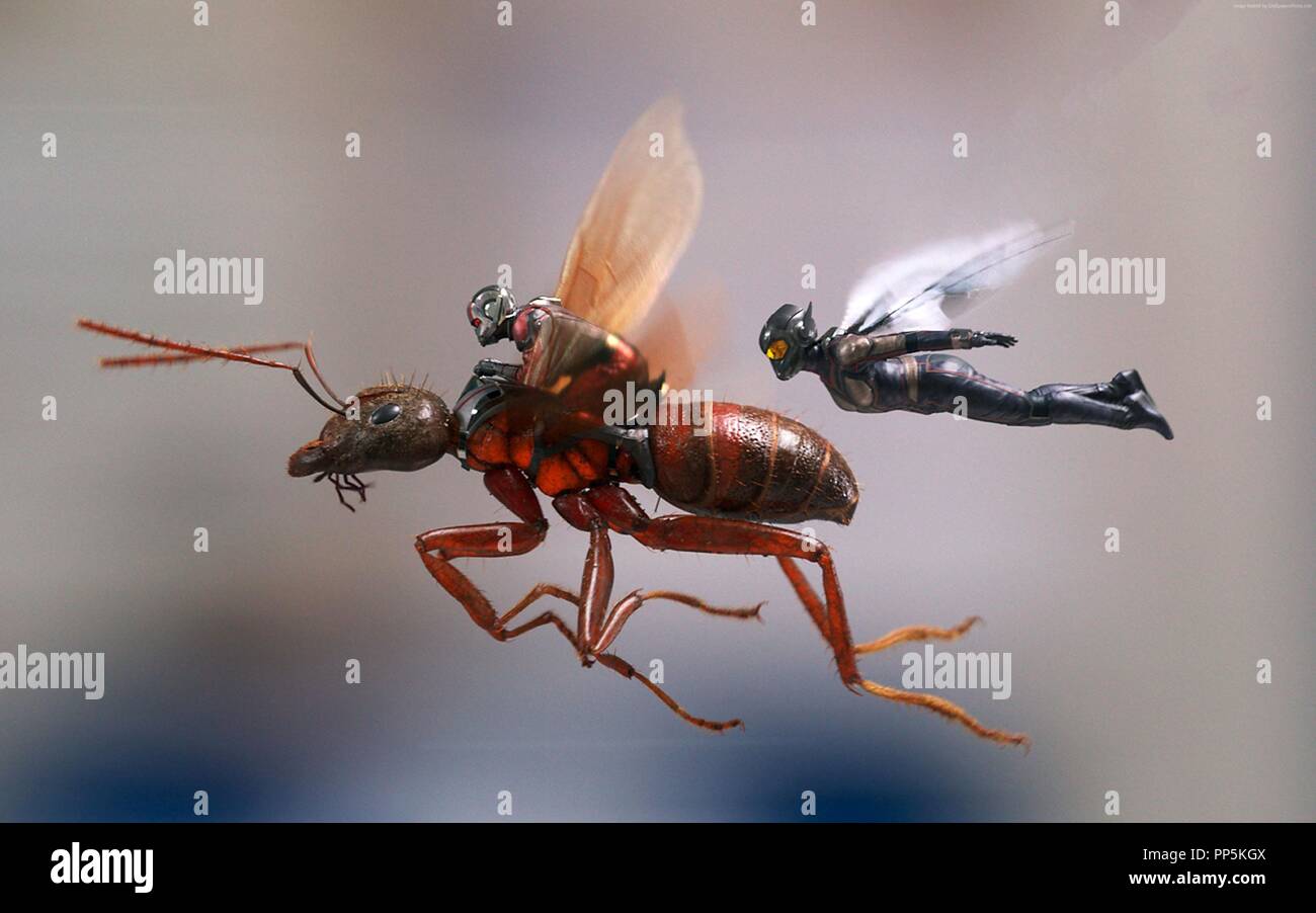 Ant man and the wasp hi-res stock photography and images - Alamy