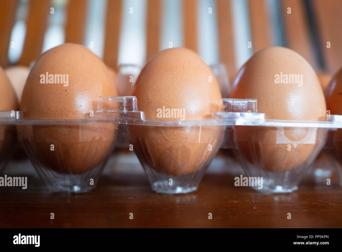 Chicken eggs in a plastic pack Stock Photo