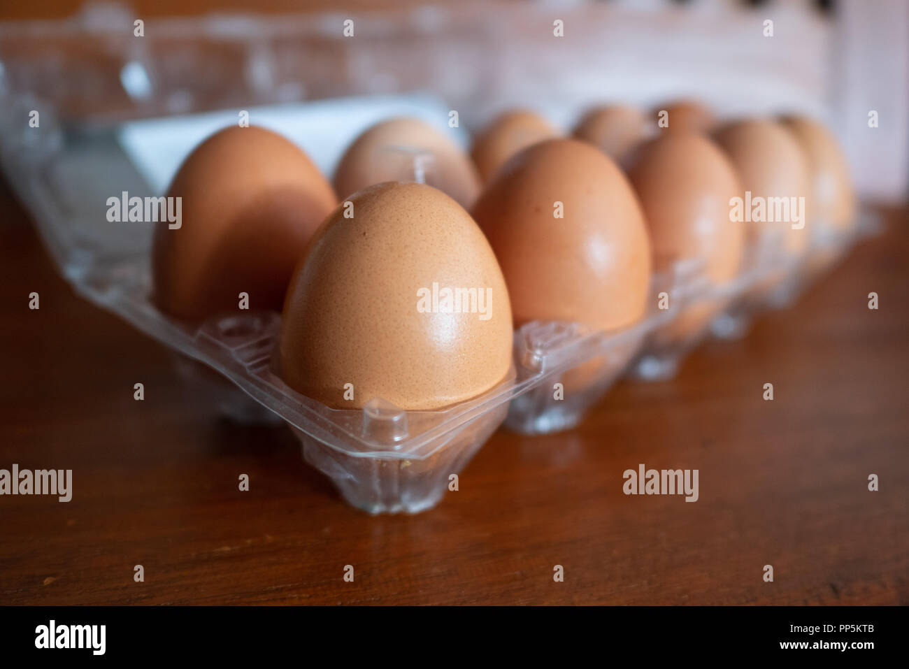 Chicken eggs in a plastic pack Stock Photo