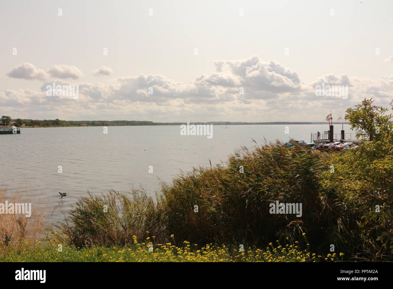 Blick auf die Salzhaff bei Rerik an der Ostsee Stock Photo